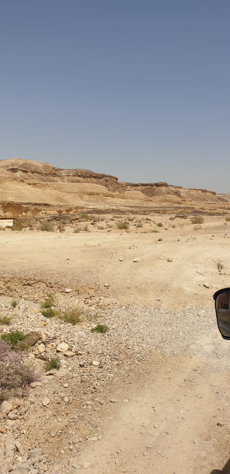 WhatsApp Image 2019-04-13 at 10.31.07 PM.jpeg.jpeg